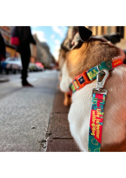 Köpek Boyun Tasması,recycled , Köpek Tasması, Boyun Tasması,