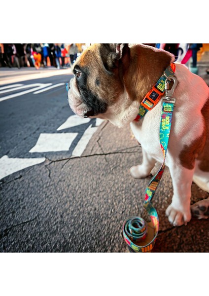Recycled, Köpek Gezdirme Tasması, Gezdirmetasması, Gezdirme Kayışı,köpekgezdirme Kayışı
