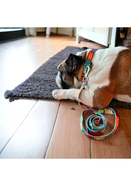 Recycled, Köpek Gezdirme Tasması, Gezdirmetasması, Gezdirme Kayışı,köpekgezdirme Kayışı fiyatları