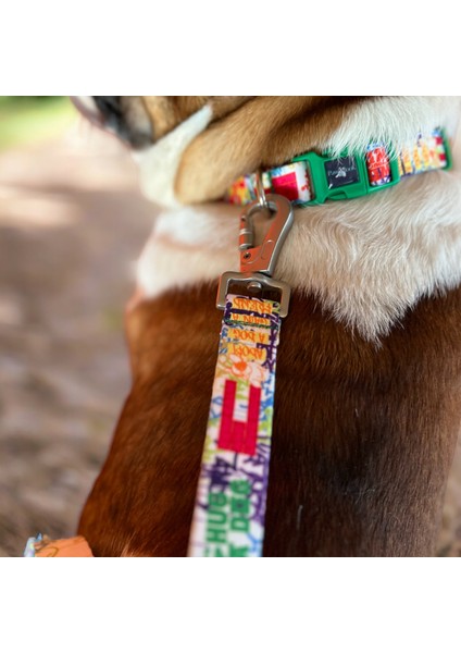 Köpek Gezdirme Kayışı,gezdirmetasması,köpek Gezdirme Kayışı, Recycled,beyaz