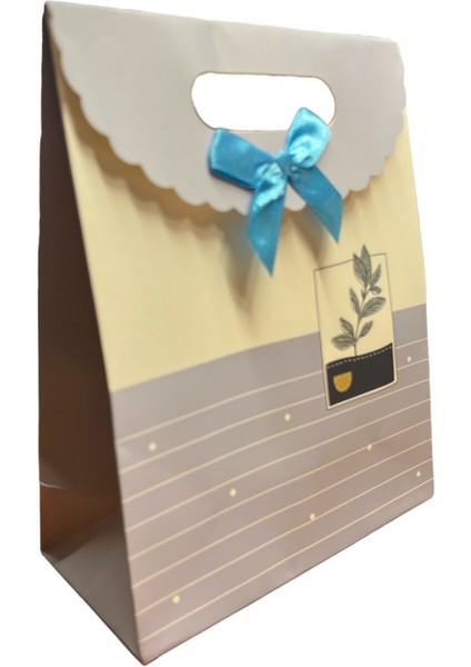 Hediye Paketi 24X28X10 cm 12'li (206-8)