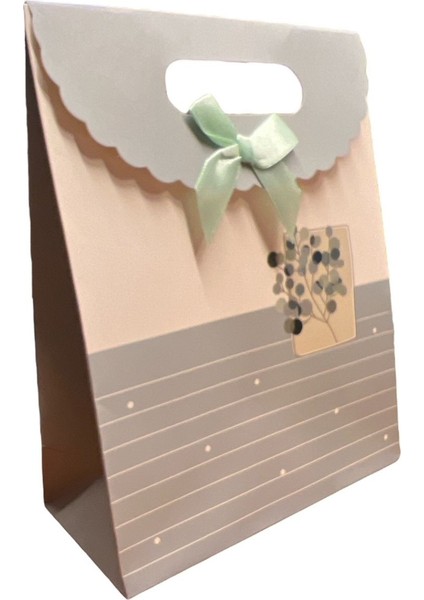 Hediye Paketi 24X28X10 cm 12'li (206-8)