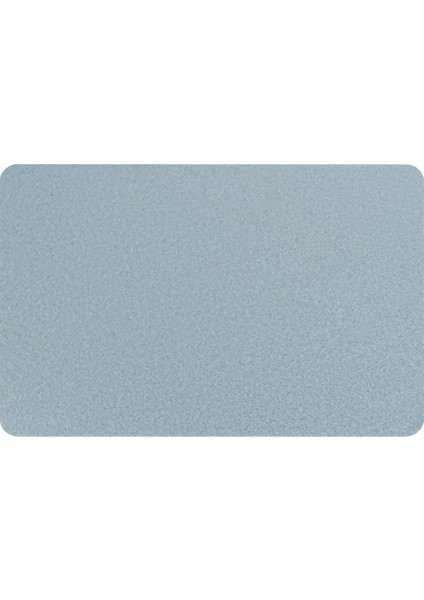 Nfc NTAG215 Silver Mat Kart