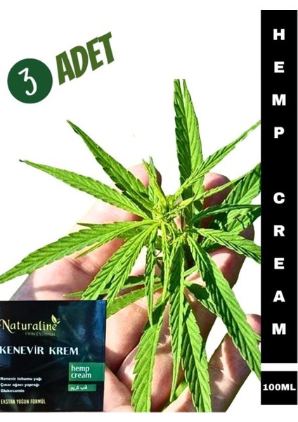 Hemp Cream Kenevir Kremi 100 ml 3 Adet
