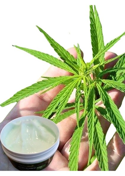 Hemp Cream Kenevir Kremi 100 ml 3 Adet