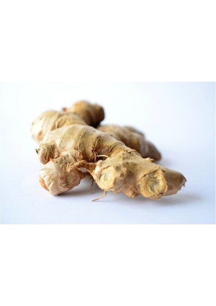 Ginger Mint Diş Macunu 85 ml