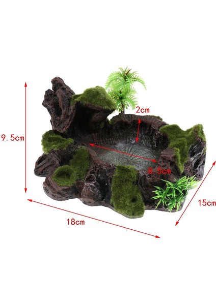 Teraryum Sürüngen Için Kase Besleyici Bitkiler Dekoru (Yurt Dışından)