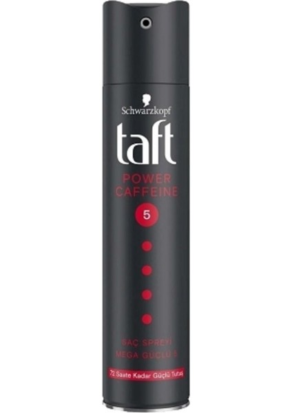 2'li Taft Saç Spreyi Power 250 ml