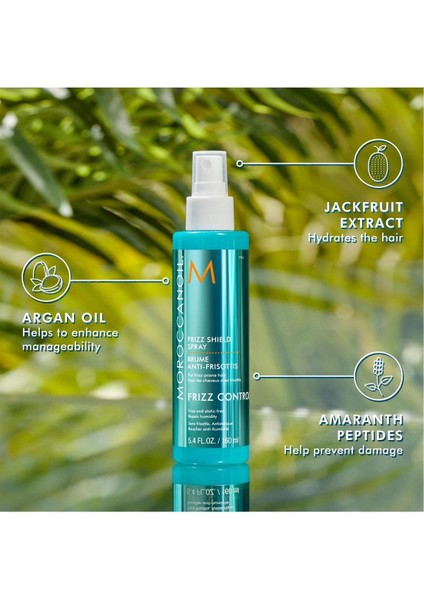 Frizz Shield Spray 160 ml modelleri
