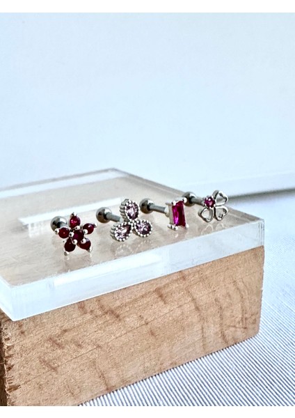By Dilek Çetin Acessorry Cerrahi Çelik 4 Lü Pembe Taşlı Kıkırdak Helix Tragus Piercing