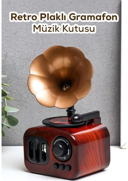 Dekoratif Nostaljik Dönen Plaklı Gramafon Müzik Kutusu