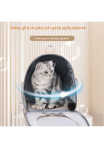 Transport Kedi Sırt Çantası (Yurt Dışından) indirimleri