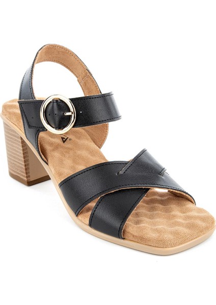 Abydos Anatomik Taban Kadın Sandalet fiyatları