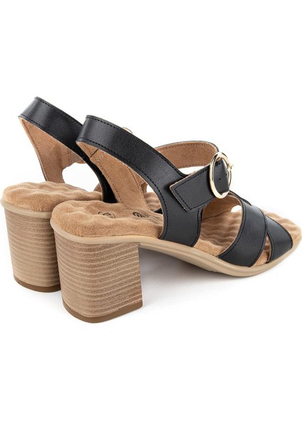 Abydos Anatomik Taban Kadın Sandalet fırsatları