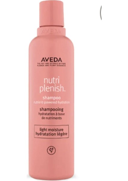 Nutriplenish Shampoo Light Mouisture 250ML