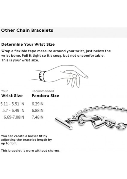 Bilezik 925 Gümüş Parlayan Serisi Basit Yılan Kemik Zinciri Kişilik Aksesuarları (Boyut: 16CM) (Yurt Dışından) fiyatları