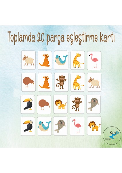 Hayvanlar Eşleme Kartları, Eşleştirme Oyunu, Zeka Kartları, indirimleri