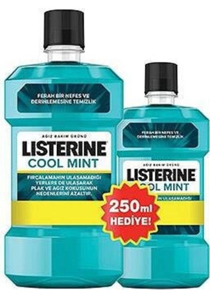 Gargara Listerine Cool Mint Ağız Bakım Suyu 500 + 250