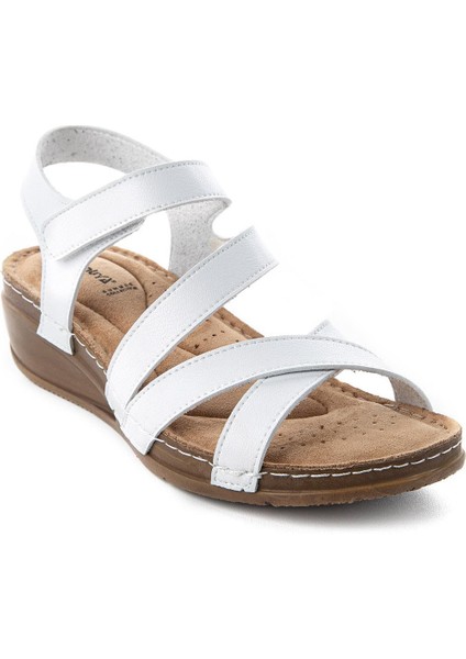 Calceus Anatomik Taban Kadın Sandalet fiyatları