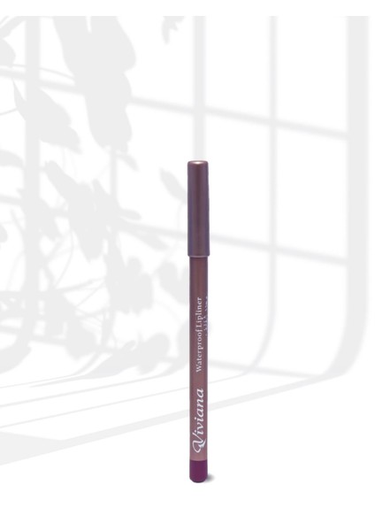 Waterproof Lipliner Pencil 202