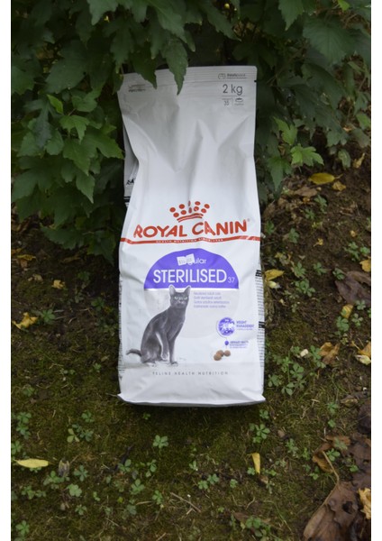 Sterilised Kedi Maması 2 kg fiyatları