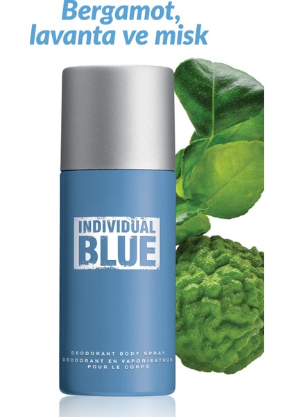 Individual Blue Erkek Deodorant 150 Ml. modelleri