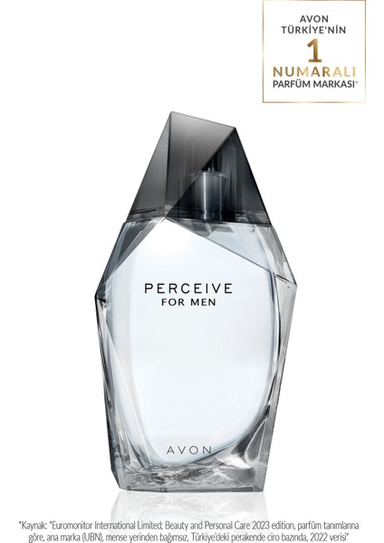 Perceive EDT 100 ml Erkek Parfüm