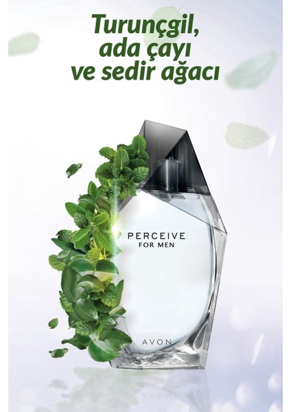 Perceive EDT 100 ml Erkek Parfüm