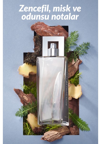 Attraction Edt 75 Ml Erkek Parfüm