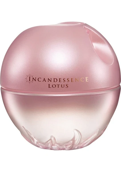 Incandessence Lotus Kadın Edp 50 ml