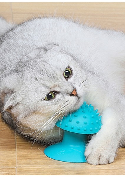 Evcil Hayvan Kedi Saç Masajı, Kedi Tırmalama Cihazı, Kedi Masaj Fırçası (Yurt Dışından)