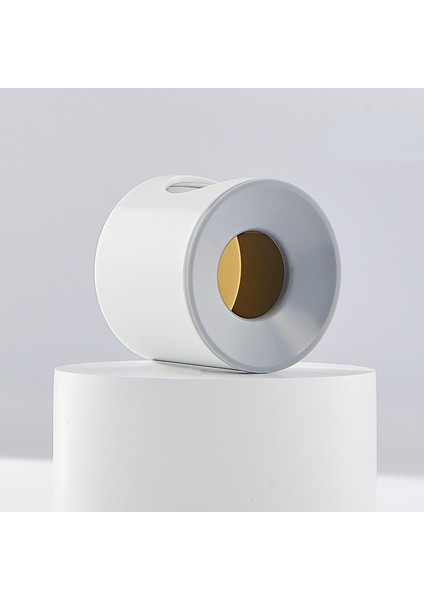 Uzun Saçlı Kadınlar Için Hava Yastıklı Tarak, Özel Hava Yastığı Masajı ve Pres Tipi Epilasyon (Yurt Dışından) fiyatları