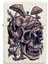 Çakmak 49786 Skullshroom Design 2