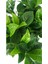 Gardenya Canlı Çiçek 2