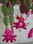 Videolu 1 Adet Pembe Yılbaşı Çiçeği 20-30 cm Tüplü Çiçekli Bodur Bitkiler Zygocactus 4