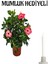 Kadınlar Gününe Özel Pembe Renk Japon Gülü(Hibiscus Rosa) Mumluk Hediyeli 1