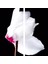 Videolu 1 Adet Beyaz Sıklamen Çiçeği 25-45 cm Saksılı Çiçekli Bodur Bitkiler Whıte Cyclamen 1