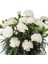 Videolu Beyaz Karanfil (15-30 Cm) 1 Adet Saksılı Çiçekli Bodur Bitki Dianthus Caryophyllus 4