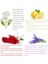 Filtre 2 Stili Banyo Duş Başlığı Limon Vitamower Yüksek Basınç Tasarruflu Su Mineral Boncuklu Duşlar El Aroma Spa Duş Başlığı (Yurt Dışından) 3