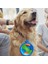 Mavi Çerçeve Stili 350 ml 350ML Küçük L Büyük Silikon Katlanır Kase Açık Taşınabilir Su Kasesi Köpekler Için Köpek Maması Katlanabilir Pet Besleyici Çanak Kase (Yurt Dışından) 4
