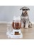 Gri Tarzı Pet Otomatik Içme Çeşmesi Çift Kullanımlı Yemek Kase Su Şişesi Köpek Kedi Besleyici (Yurt Dışından) 2