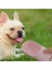 Yeşil Stil Tek Boyut Taşınabilir Pet Köpek Su Şişesi Yavru Kedi Küçük Büyük Köpekler Kediler Için Içme Suyu Kase Gıda Besleyici Açık Seyahat Pet Malzemeleri (Yurt Dışından) 5