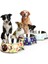 Xs Stili Paslanmaz Çelik Köpek Kedi Kase Kaymaz Dayanıklı Gıda Besleyici Su Kaseleri Küçük Orta Büyük Köpekler Için Pet Besleme Içme Malzemeleri (Yurt Dışından) 4