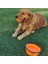 A6 Stili Seyahat Için Katlanabilir Köpek Kaseleri Köpekler Için Taşınabilir Su Kasesi Seyahat Için Yemek Kamp Yürüyüş Köpek Maması Konteyneri (Yurt Dışından) 5