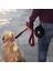 Mavi Stil 350ML Katlanabilir Pet Silikon Köpek Maması Su Kasesi Açık Kamp Seyahat Karabina ile Taşınabilir Katlanır Pet Kase Yemekleri Pet Ürünleri (Yurt Dışından) 5