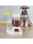 Pembe Tarzı 2 L Otomatik Pet Köpek Kedi Besleyici Kase Köpekler Için Içme Suyu 528ML Şişe Yavru Kedi Kaseleri Köpek Maması Besleme Kabı (Yurt Dışından) 5