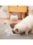 Açık Yeşil Tarzı 2.2l Pet Köpek Kedi Besleyici Köpekler Için Otomatik Kase Içme Suyu 528ML Şişe Yavru Kedi Kaseler Yavaş Gıda Besleme Konteyner Malzemeleri (Yurt Dışından) 5