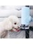 Beyaz Stil 700 ml Köpek Otomatik Paslanmaz Çelik Top Tiryakisi Şişe Asılı Pet Içme Yavrusu Tiryakisi Şişe Çeşme Besleyici Tavşan Kafesi Malzemeleri (Yurt Dışından) 2
