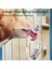 Beyaz Stil 700 ml Köpek Otomatik Paslanmaz Çelik Top Tiryakisi Şişe Asılı Pet Içme Yavrusu Tiryakisi Şişe Çeşme Besleyici Tavşan Kafesi Malzemeleri (Yurt Dışından) 4