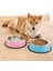 Mavi Stil Xl Beden S-3xl Köpek Kaseleri Paslanmaz Çelik Seyahat Ayak Izi Besleme Besleyici Su Kasesi Büyük Köpekler Için Besleme Çanak Fit Tüm Pet Yavru Kedi Kase (Yurt Dışından) 3